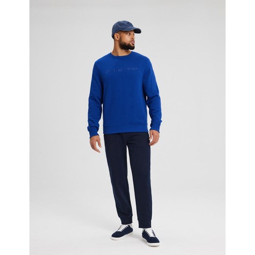 Bluza męska Diverse