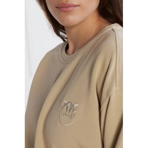 Pinko Bluza | Regular Fit Pinko S Gomez Fashion Store