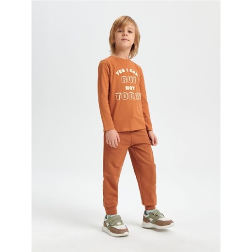 Sinsay - Spodnie dresowe jogger - brązowy ze sklepu Sinsay w kategorii Spodnie chłopięce - zdjęcie 167782132