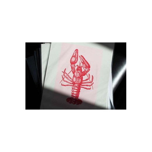 Donkey dekoracja ścienna "Lobster" Donkey ONE ANSWEAR.com