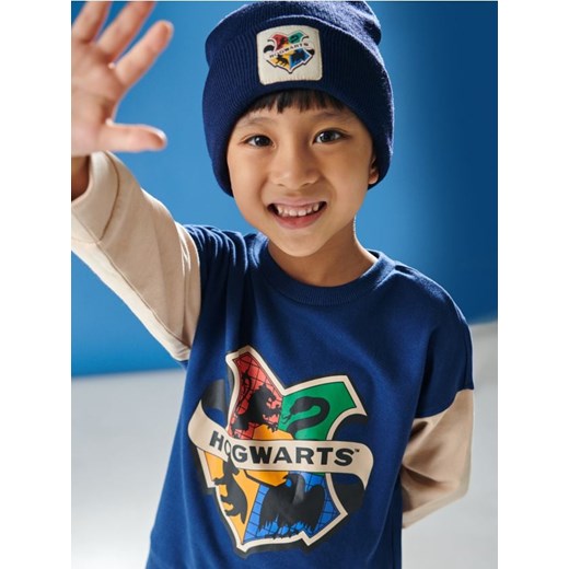 Sinsay - Bluza Harry Potter - niebieski Sinsay 128 Sinsay wyprzedaż
