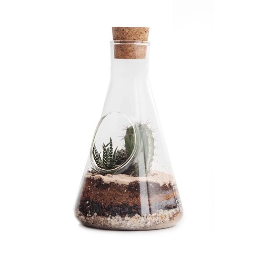 Luckies of London terrarium roślinne Luckies Of London ONE ANSWEAR.com