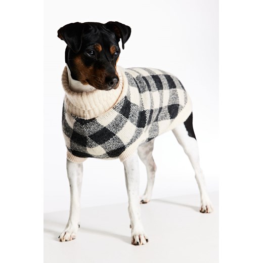H & M - Żakardowy sweter dla psa - Beżowy ze sklepu H&M w kategorii Dla zwierząt - zdjęcie 169597740