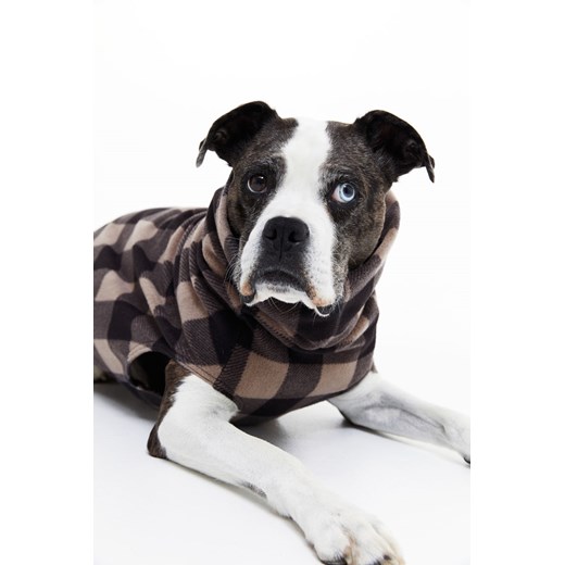 H & M - Polarowa bluza dla psa - Brązowy ze sklepu H&M w kategorii Dla zwierząt - zdjęcie 169598590