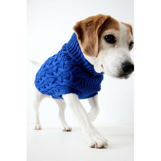 H & M - Sweter dla psa - Niebieski ze sklepu H&M w kategorii Dla zwierząt - zdjęcie 169675454