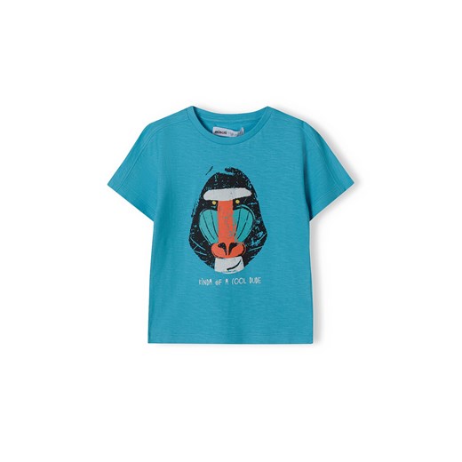 Niebieski t-shirt bawełniany niemowlęcy z nadrukiem Minoti 92/98 5.10.15