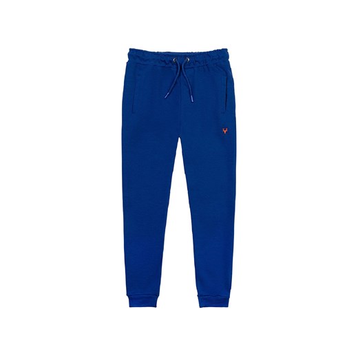 Spodnie dresowe dla niemowlaka niebieskie ze sklepu 5.10.15 w kategorii Spodnie i półśpiochy - zdjęcie 169698313
