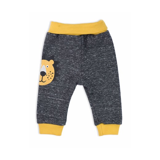Spodnie dresowe niemowlęce Lion ze sklepu 5.10.15 w kategorii Spodnie i półśpiochy - zdjęcie 169701052