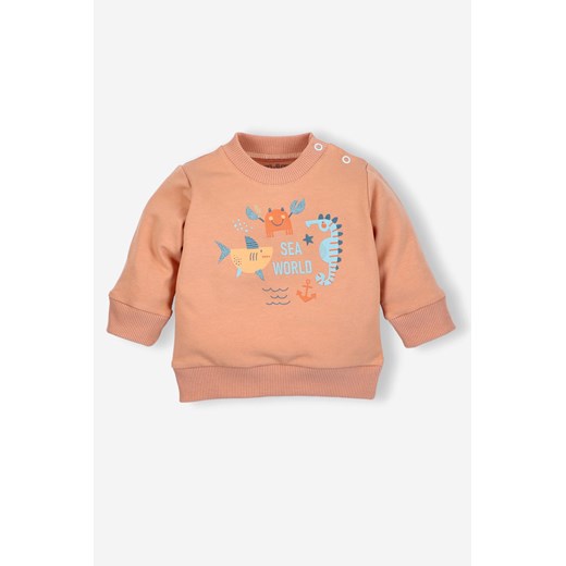 Bluza niemowlęca z bawełny organicznej dla chłopca Nini 62 5.10.15