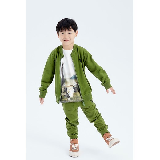 Zielone dresowe spodnie slim dla chłopca z dinozaurem ze sklepu 5.10.15 w kategorii Spodnie chłopięce - zdjęcie 169703033
