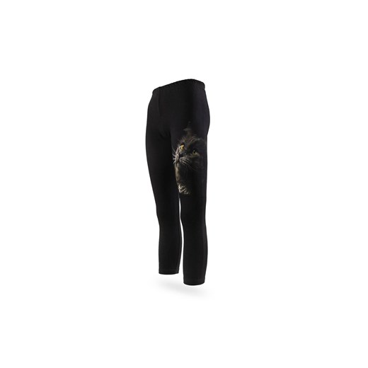 Dziewczęce legginsy czarne z nadrukiem kota ze sklepu 5.10.15 w kategorii Spodnie dziewczęce - zdjęcie 169707064