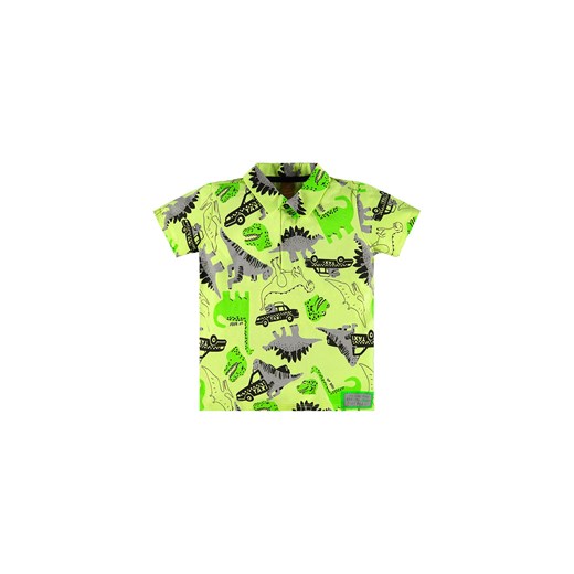 Bawełniany t-shirt chłopięcy w dinozaury z kołnierzykiem ze sklepu 5.10.15 w kategorii T-shirty chłopięce - zdjęcie 169709240