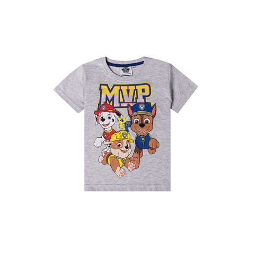 Szara koszulka chłopięca z krótkim rękawem Psi Patrol ze sklepu 5.10.15 w kategorii T-shirty chłopięce - zdjęcie 169711021