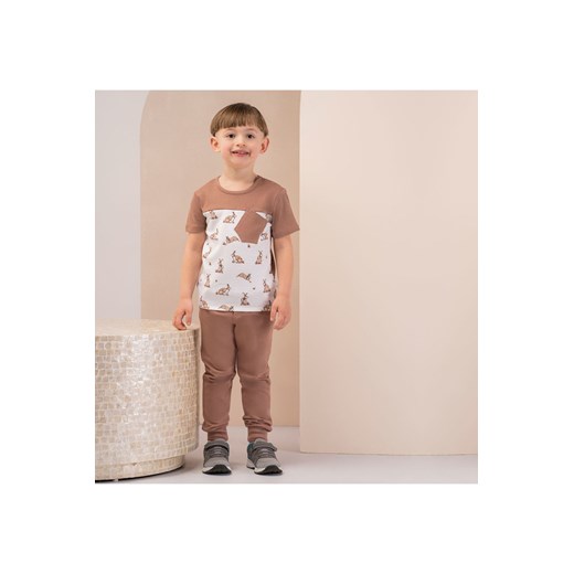 Spodnie dresowe chłopięce Benio ze sklepu 5.10.15 w kategorii Spodnie i półśpiochy - zdjęcie 169714703