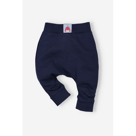 Spodnie niemowlęce z bawełny organicznej dla chłopca ze sklepu 5.10.15 w kategorii Spodnie i półśpiochy - zdjęcie 169720350