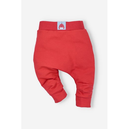 Spodnie niemowlęce z bawełny organicznej dla chłopca Nini 80 5.10.15