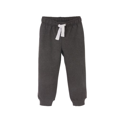 Spodnie dresowe chłopięce basic szare ze sklepu 5.10.15 w kategorii Spodnie chłopięce - zdjęcie 169724903