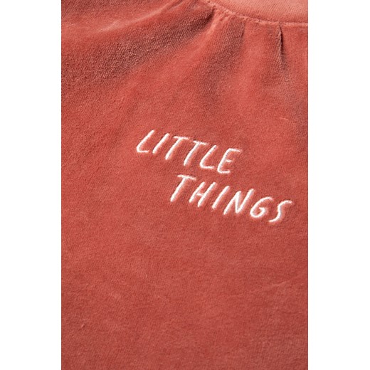 Gładka bluza dresowa dla dziewczynki z małym napisem Lincoln & Sharks By 5.10.15. 164 wyprzedaż 5.10.15