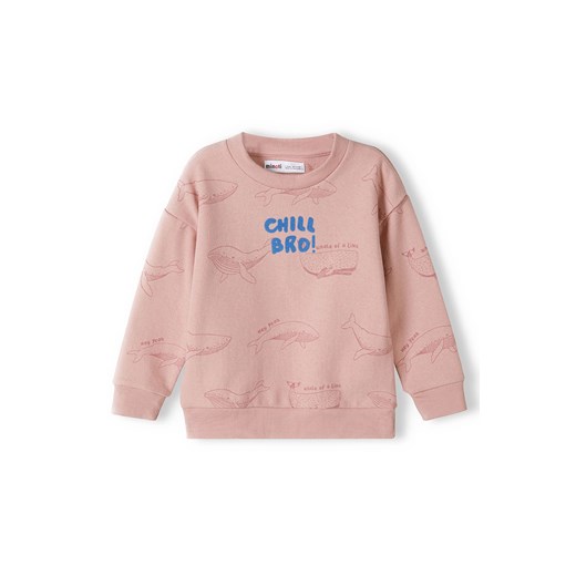 Bluza nierozpinana dla niemowlaka- Chill bro! ze sklepu 5.10.15 w kategorii Bluzy i swetry - zdjęcie 169727133