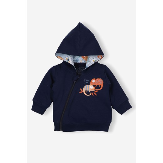 Bluza niemowlęca z bawełny organicznej dla chłopca ze sklepu 5.10.15 w kategorii Bluzy i swetry - zdjęcie 169728824
