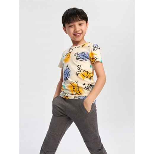 Sinsay - Koszulka z nadrukiem - kremowy ze sklepu Sinsay w kategorii T-shirty chłopięce - zdjęcie 169813803