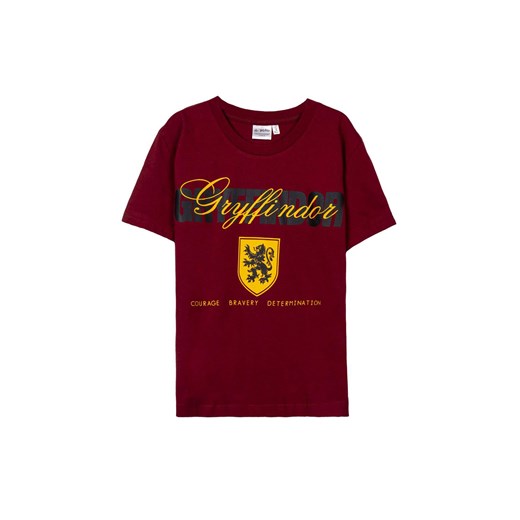Koszulka chłopięca Harry Potter ze sklepu 5.10.15 w kategorii T-shirty chłopięce - zdjęcie 169880364