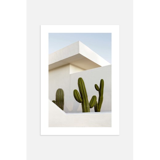 H & M - Cactus House Plakat - Zielony ze sklepu H&M w kategorii Plakaty - zdjęcie 169908012