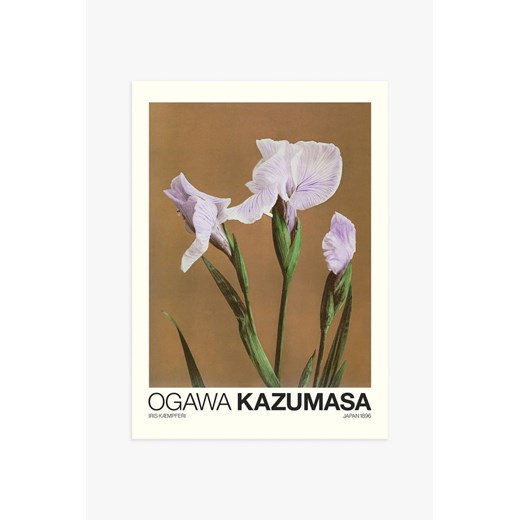 H & M - Iris Kæmpferi By Kazumasa Plakat - Brązowy H & M 50x70 H&M
