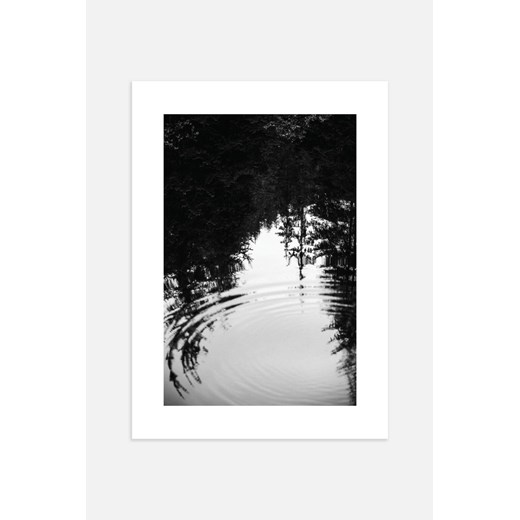 H & M - Reflecting Forest Plakat - Czarny ze sklepu H&M w kategorii Plakaty - zdjęcie 169908694