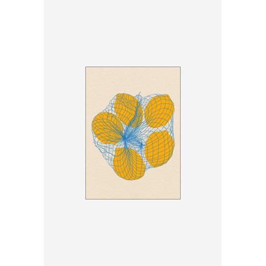 H & M - Rosi Feist - Five Lemons In A Net Bag - Biały ze sklepu H&M w kategorii Dekoracje ścienne - zdjęcie 169908712