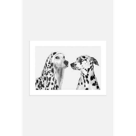 H & M - Dotty Dogs Plakat - Biały ze sklepu H&M w kategorii Plakaty - zdjęcie 169908903