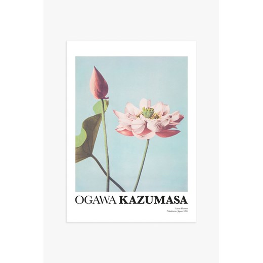 H & M - Lotus Flowers By Kazumasa Plakat - Niebieski ze sklepu H&M w kategorii Dekoracje ścienne - zdjęcie 169909200