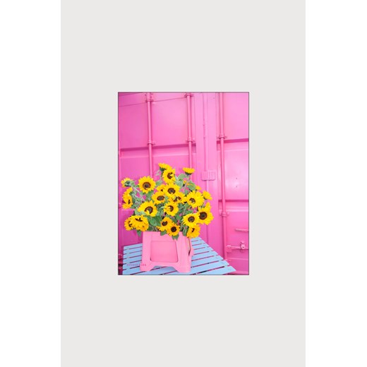H & M - Studio Flør - Shining Mess - Różowy ze sklepu H&M w kategorii Dekoracje ścienne - zdjęcie 169909222