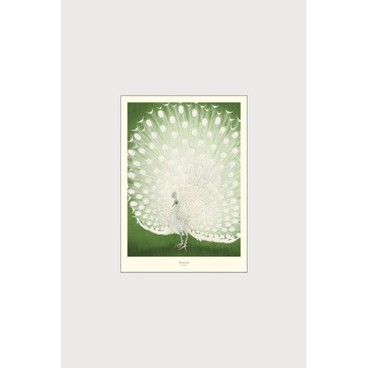 H & M - A. p. Atelier - Peacock - Zielony ze sklepu H&M w kategorii Plakaty - zdjęcie 169992391