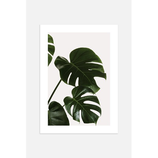 H & M - Monstera Leaves Plakat - Zielony ze sklepu H&M w kategorii Dekoracje ścienne - zdjęcie 169997211