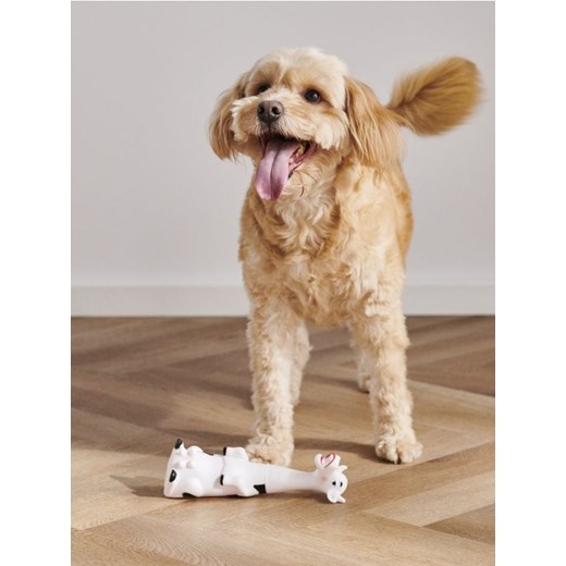 Sinsay - Zabawka dla zwierząt - biały ze sklepu Sinsay w kategorii Dla zwierząt - zdjęcie 170003352