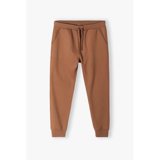 Spodnie dresowe męskie brązowe - Powerful #Family ze sklepu 5.10.15 w kategorii Spodnie męskie - zdjęcie 170111662