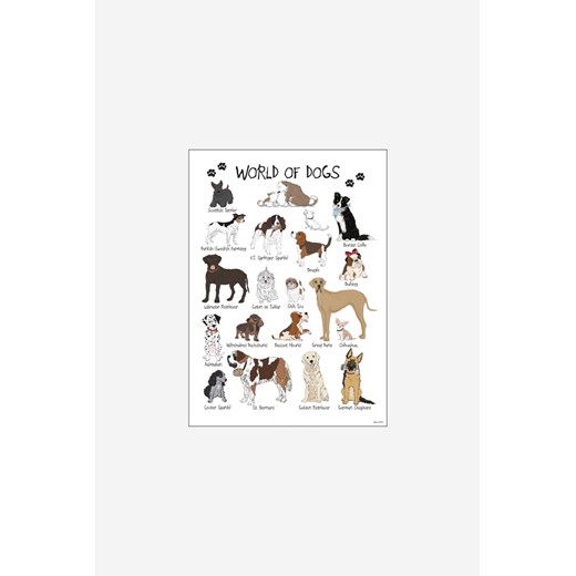 H & M - Mouse & Pen - World Of Dogs - Brązowy ze sklepu H&M w kategorii Plakaty - zdjęcie 170117404