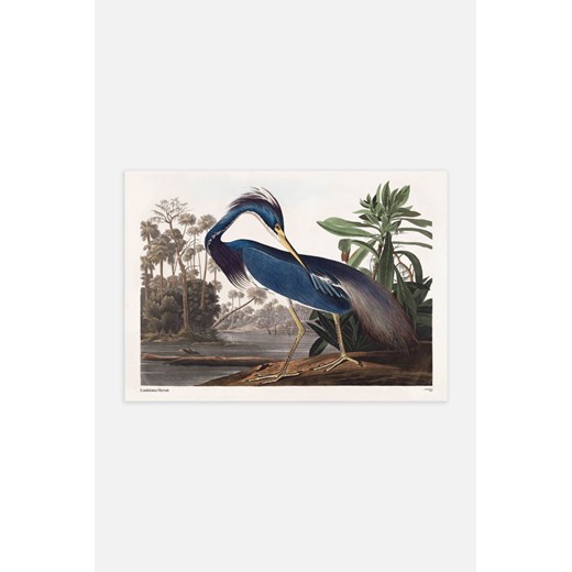 H & M - Lousiana Heron Plakat - Niebieski ze sklepu H&M w kategorii Plakaty - zdjęcie 170209751
