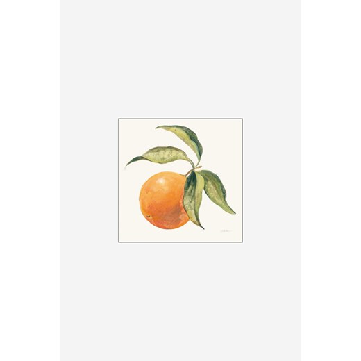 H & M - Wild Apple - Le Orange On Cream - Pomarańczowy ze sklepu H&M w kategorii Plakaty - zdjęcie 170274181