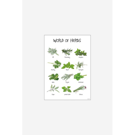 H & M - Mouse & Pen - World Of Herbs - Zielony ze sklepu H&M w kategorii Plakaty - zdjęcie 170274261