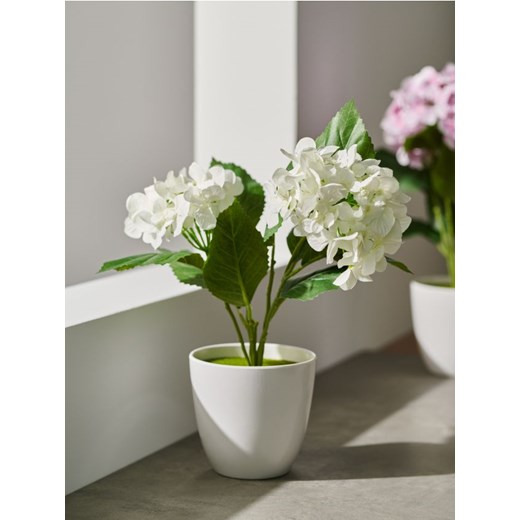 Sinsay - Roślina ozdobna - biały ze sklepu Sinsay w kategorii Dekoracje wielkanocne - zdjęcie 170439023