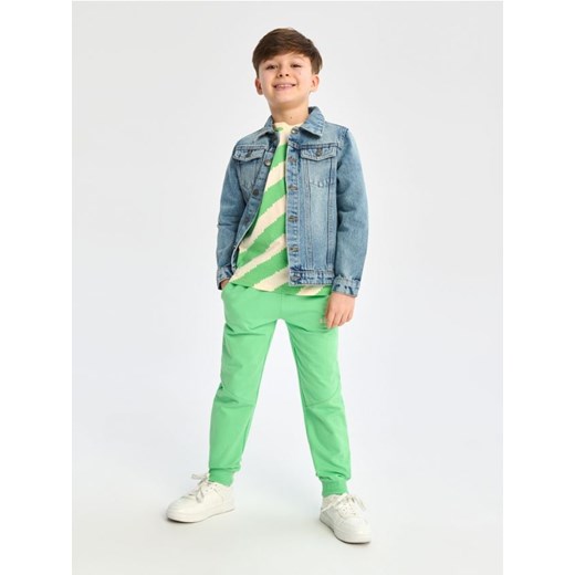 Sinsay - Spodnie dresowe jogger - zielony ze sklepu Sinsay w kategorii Spodnie chłopięce - zdjęcie 170522824