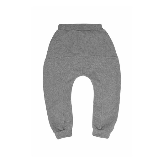 Spodnie dresowe chłopięce z lamówką szare Tup Tup ze sklepu 5.10.15 w kategorii Spodnie chłopięce - zdjęcie 170524190