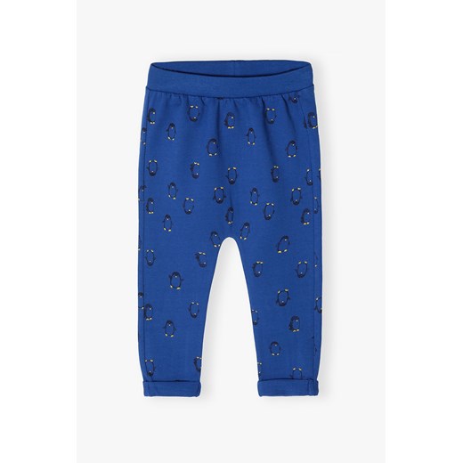 Spodnie niemowlęca dla chłopca - niebieskie 5.10.15. 92 5.10.15