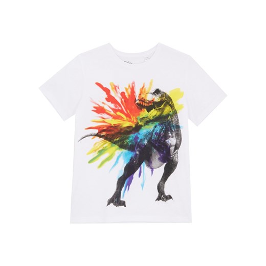 T-shirt chłopięcy z bawełny organicznej ze sklepu bonprix w kategorii T-shirty chłopięce - zdjęcie 170601433