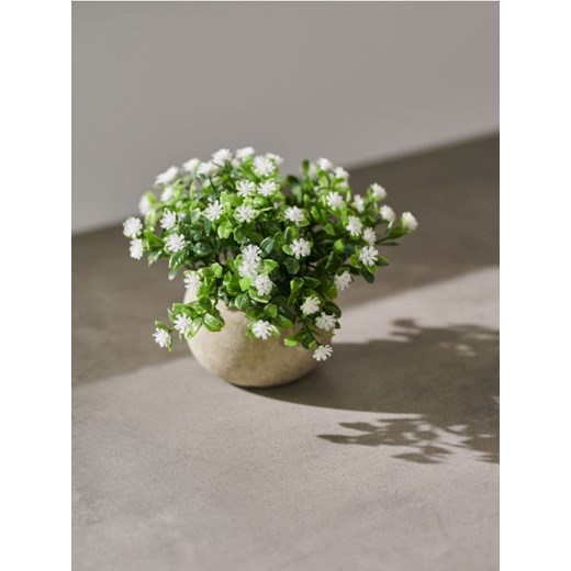 Sinsay - Roślina ozdobna - biały ze sklepu Sinsay w kategorii Dekoracje wielkanocne - zdjęcie 170645750