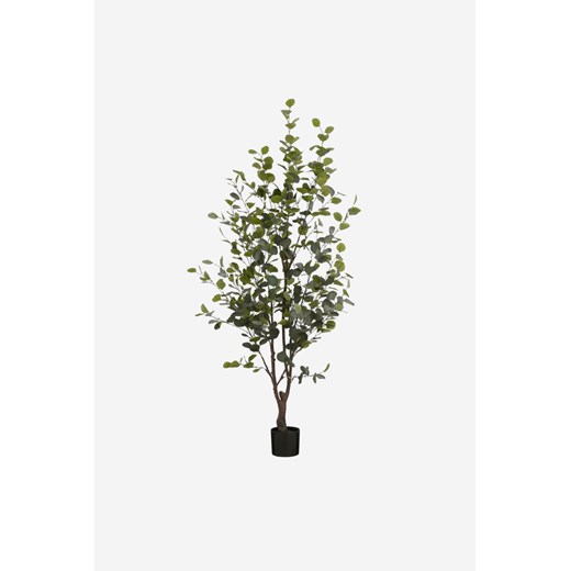 H & M - Sztuczna Roślina Eukaliptusowa - Zielony ze sklepu H&M w kategorii Dekoracje - zdjęcie 170667100
