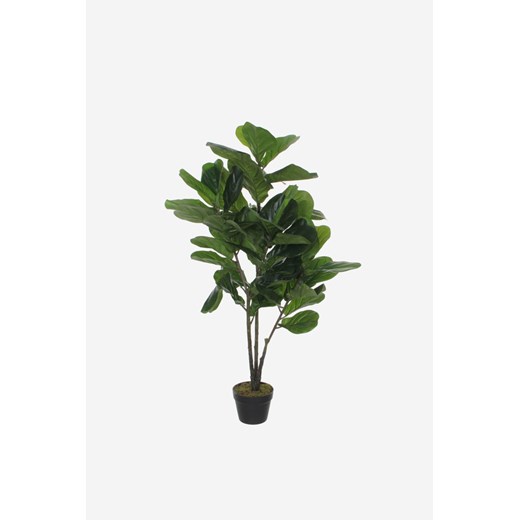 H & M - Sztuczna Roślina Figowca - Zielony ze sklepu H&M w kategorii Dekoracje - zdjęcie 170667262