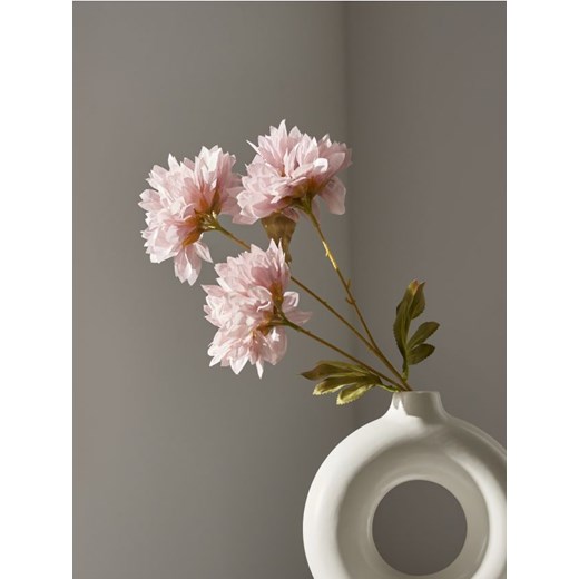Sinsay - Roślina ozdobna - różowy ze sklepu Sinsay w kategorii Dekoracje wielkanocne - zdjęcie 170721992